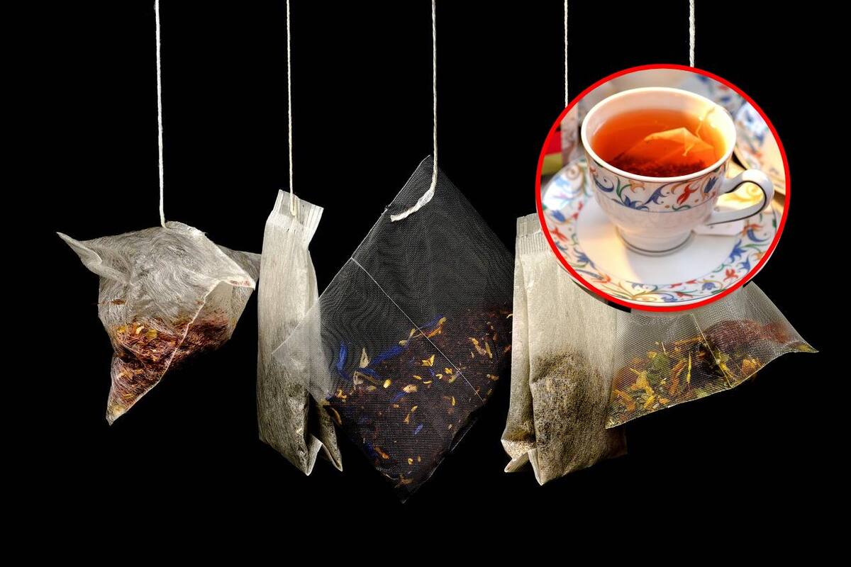 ¿Qué tan cierto es que las bolsitas de té contienen microplásticos?