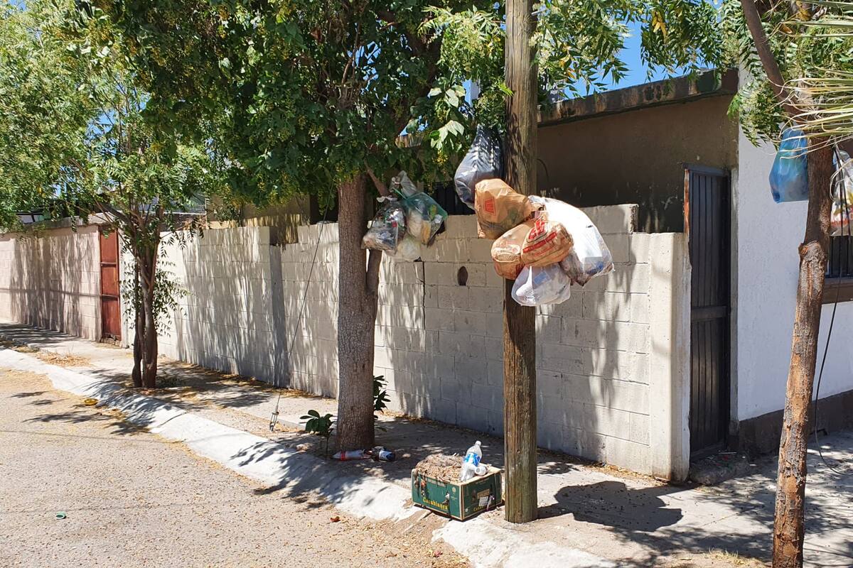 Hermosillo: Vecinos de la colonia Costa del Sol llevan más de una semana sin recolección de basura