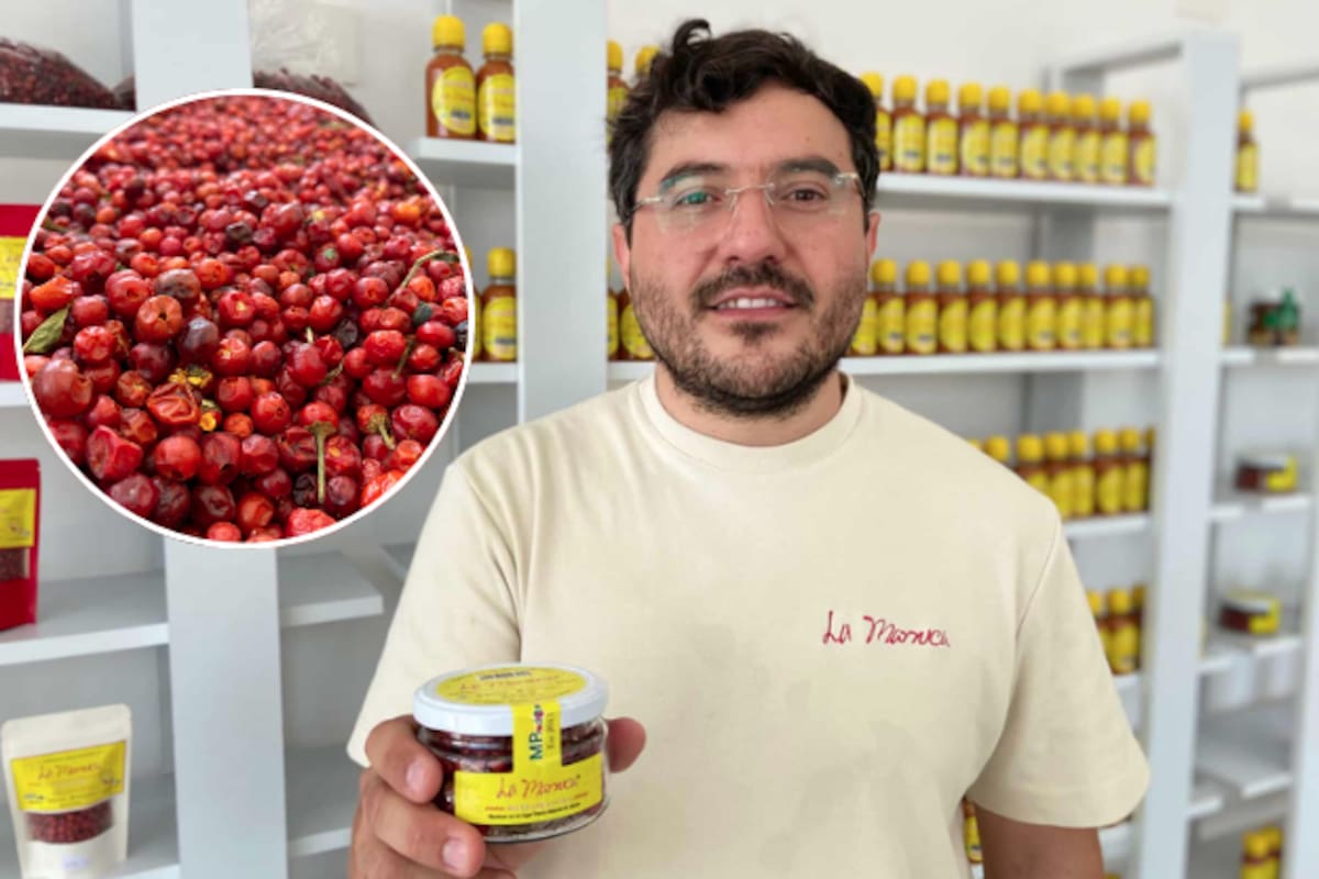 ‘Chiquito’, pero valioso: Impulsa la cultura del chiltepín al Sur de Sonora
