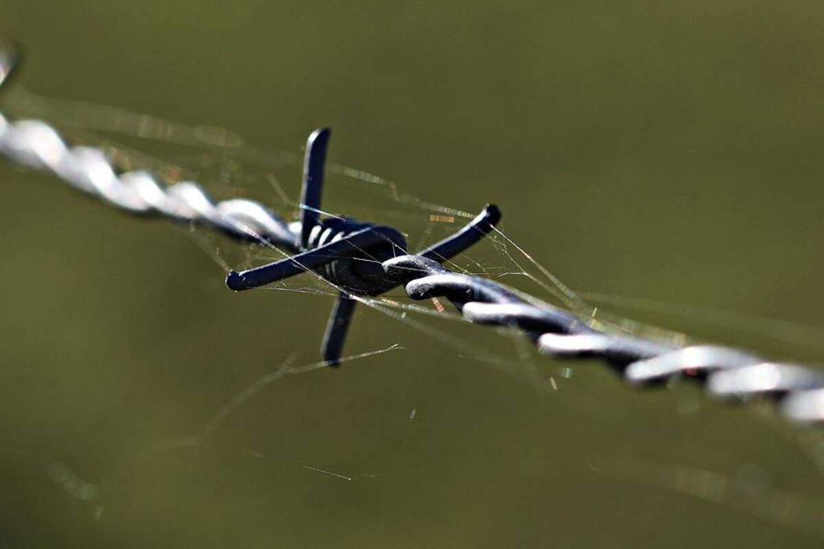 Hallan fosa con 3 cadáveres en zona fronteriza de México con EU