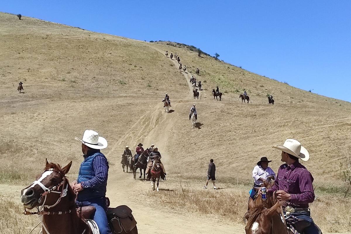 Realizarán edición 36 de cabalgata Fiesta de las Fronteras