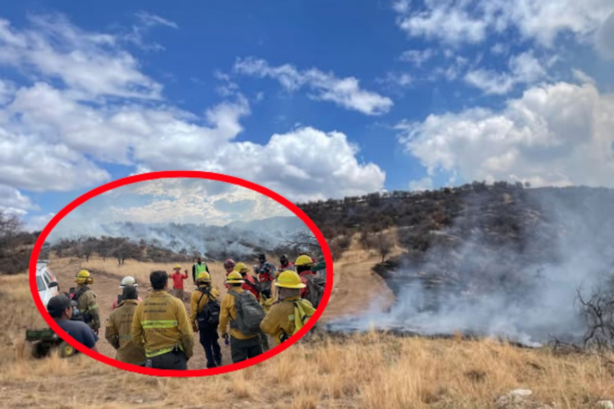 Avanza el Gobierno de Sonora en el control del incendio forestal en la Sierra Los Ajos