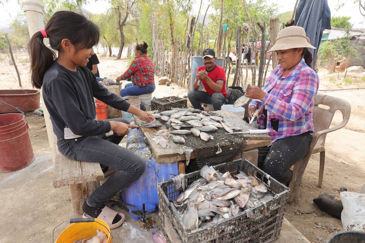 Los pescadores intentan aprovechar lo poco que queda de agua y de peces