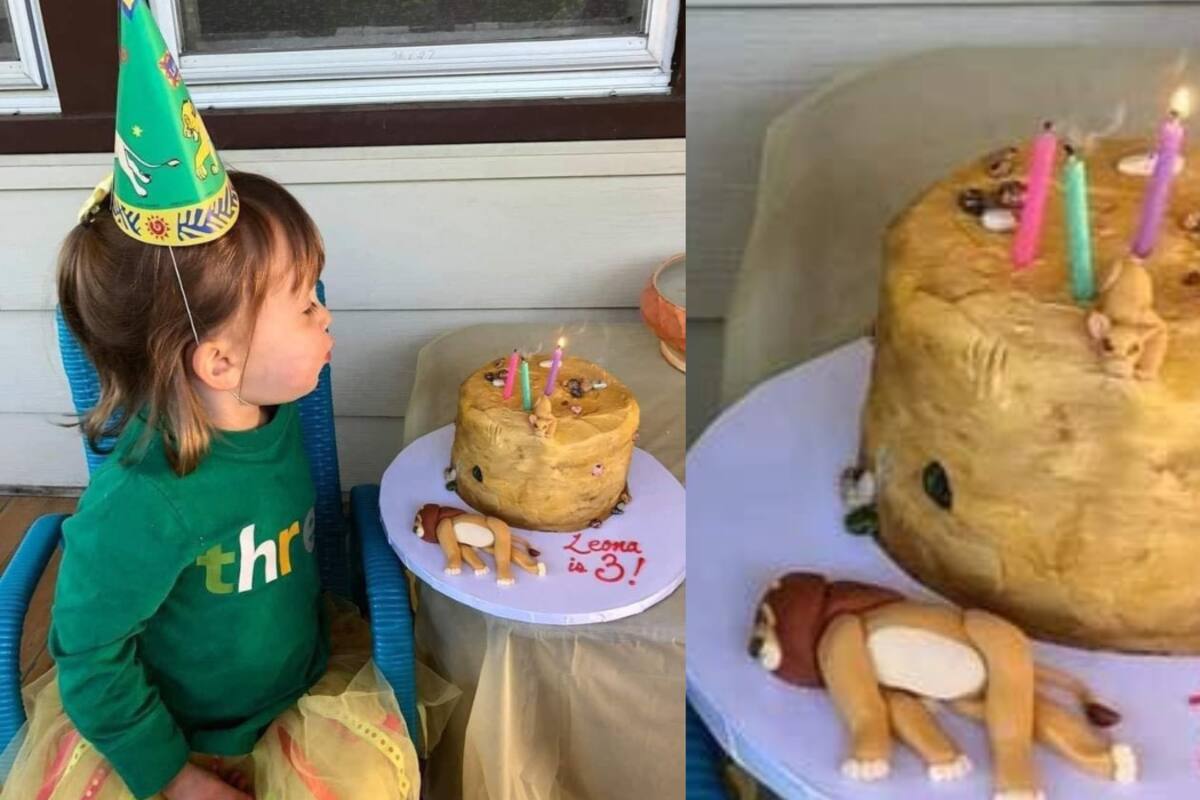 Niña pide un pastel del Rey León específicamente de la muerte de Mufasa por esta razón