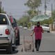 Semana arrancará con calor de hasta 46 grados en San Luis Río Colorado