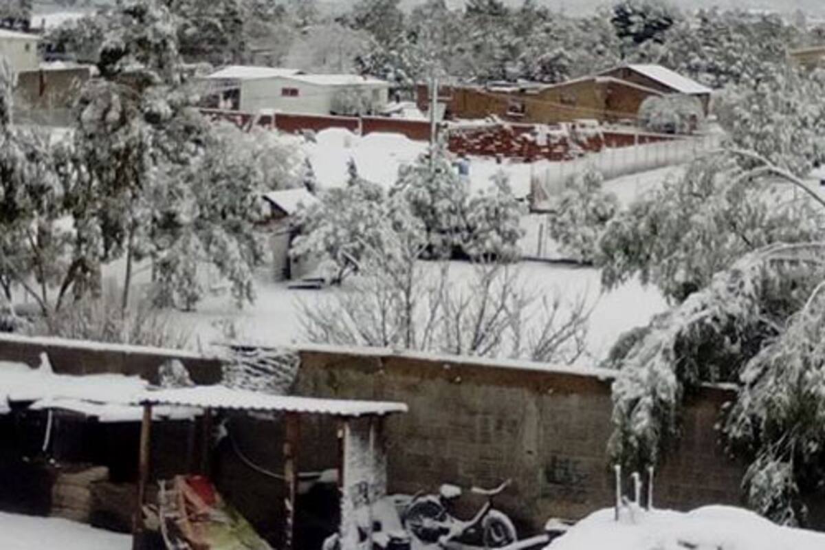 Paisaje nevado en El Hongo