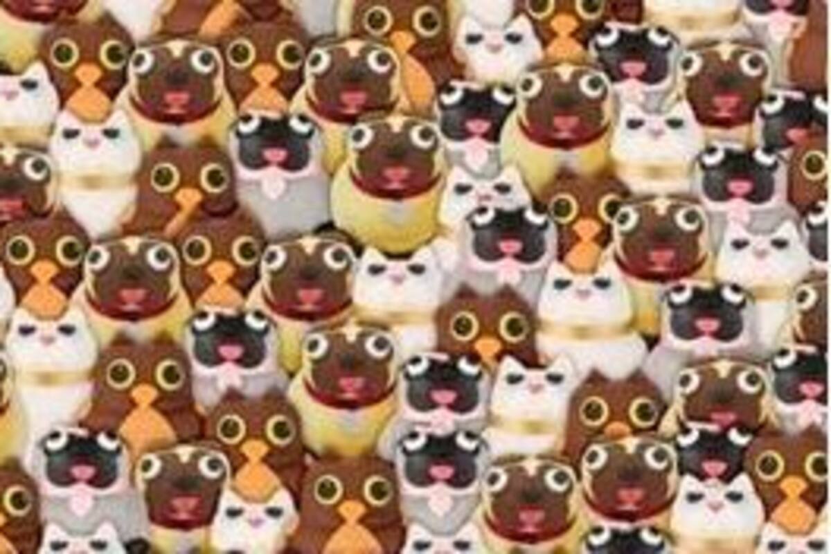 ¿Puedes ver el panda en esta imagen? El reto visual casi imposible de resolver