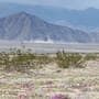Niegan permiso ambiental a festival de luces de Cantoya en Laguna Salada