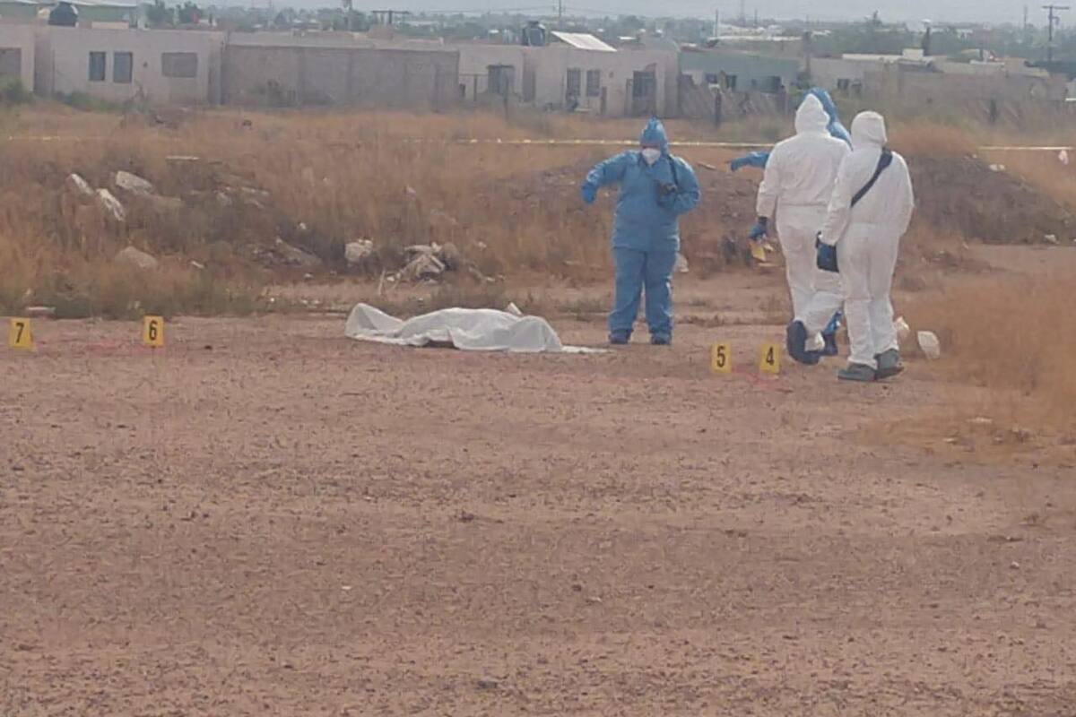 Hallan cuerpo sin vida en terreno baldío en Agua Prieta