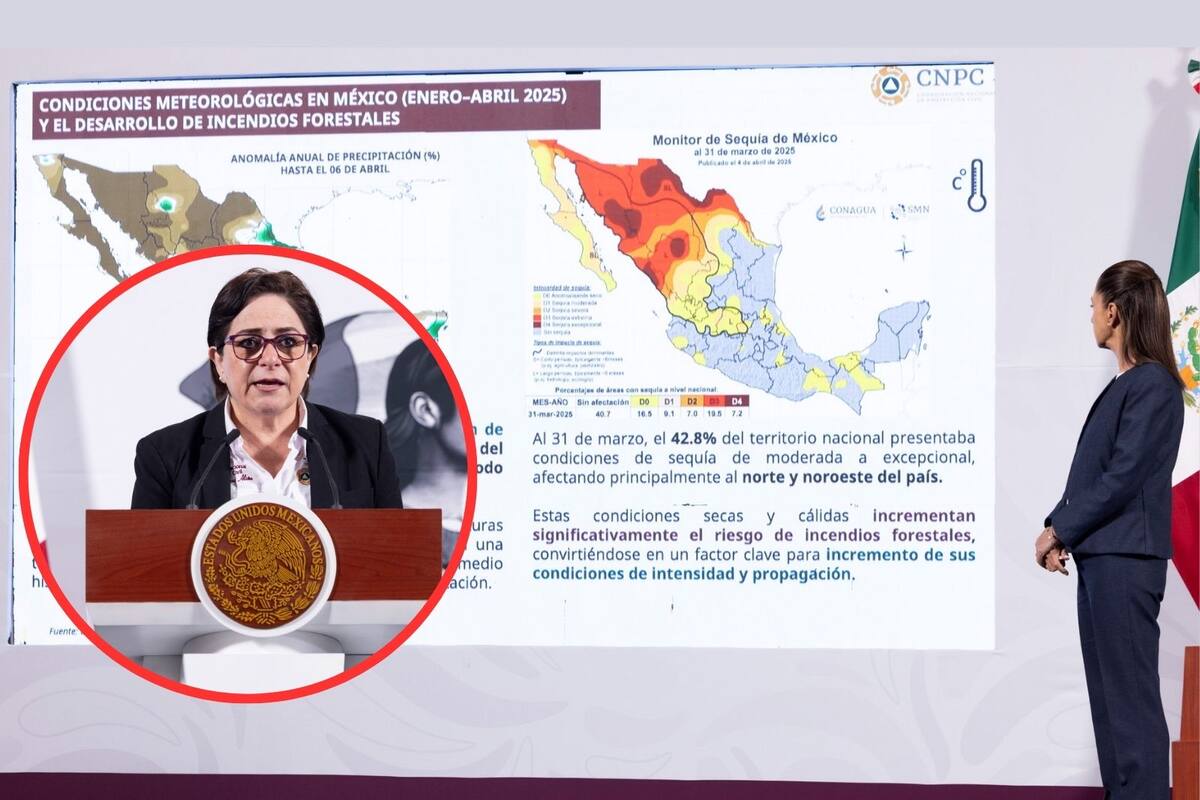 Hay 114 incendios forestales activos en el País, dos de ellos en Sonora: Protección Civil