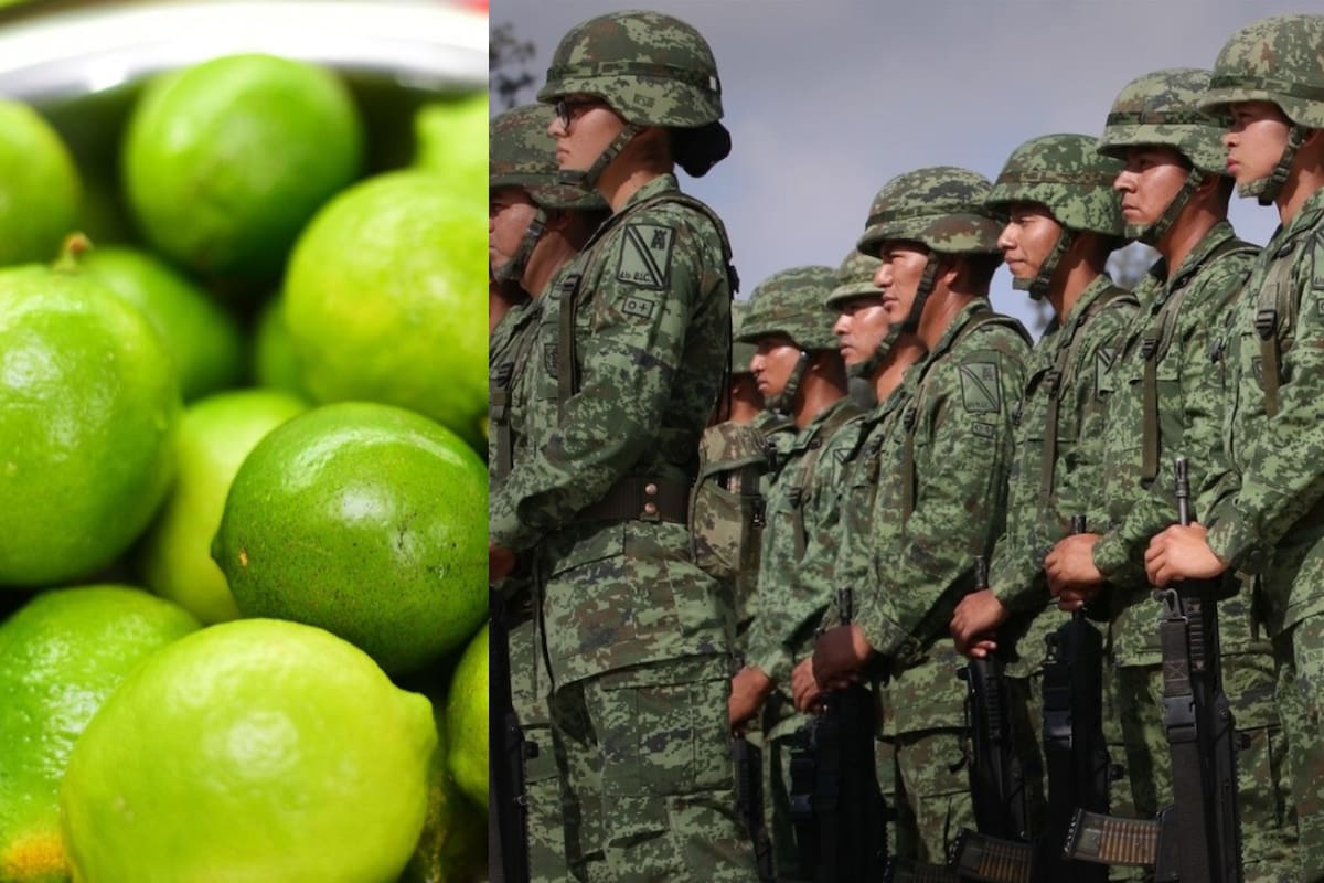 Blindan al limón con el Plan Michocán para combatir la extorsión del crimen organizado a productores que desata aumento de homicidios y frena la actividad económica de la región