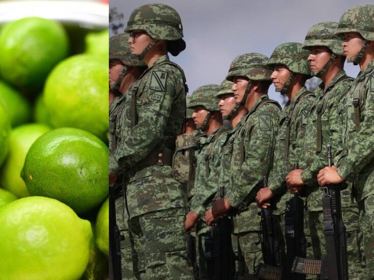 Blindan al limón con el Plan Michocán para combatir la extorsión del crimen organizado a productores que desata aumento de homicidios y frena la actividad económica de la región