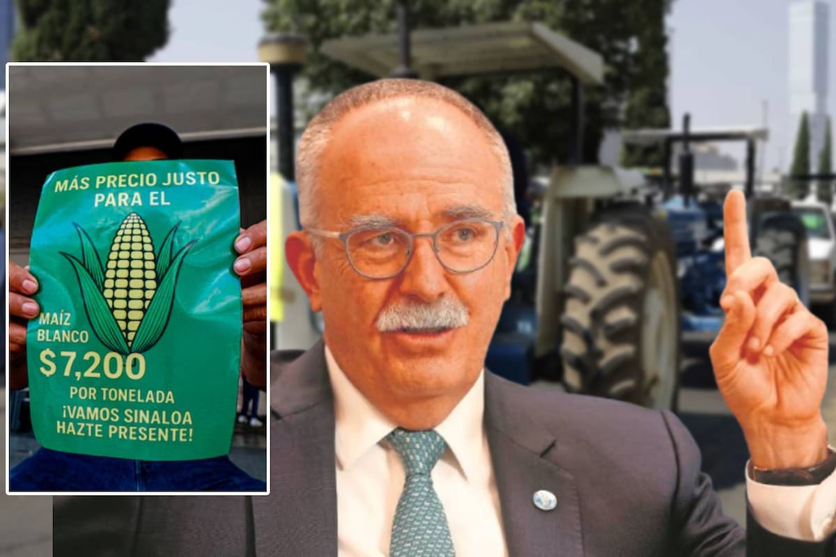 ¿Cuánto subirá el costo del maíz en México tras protestas de agricultores? Julio Berdegué, secretario de Agricultura, anuncia ajuste