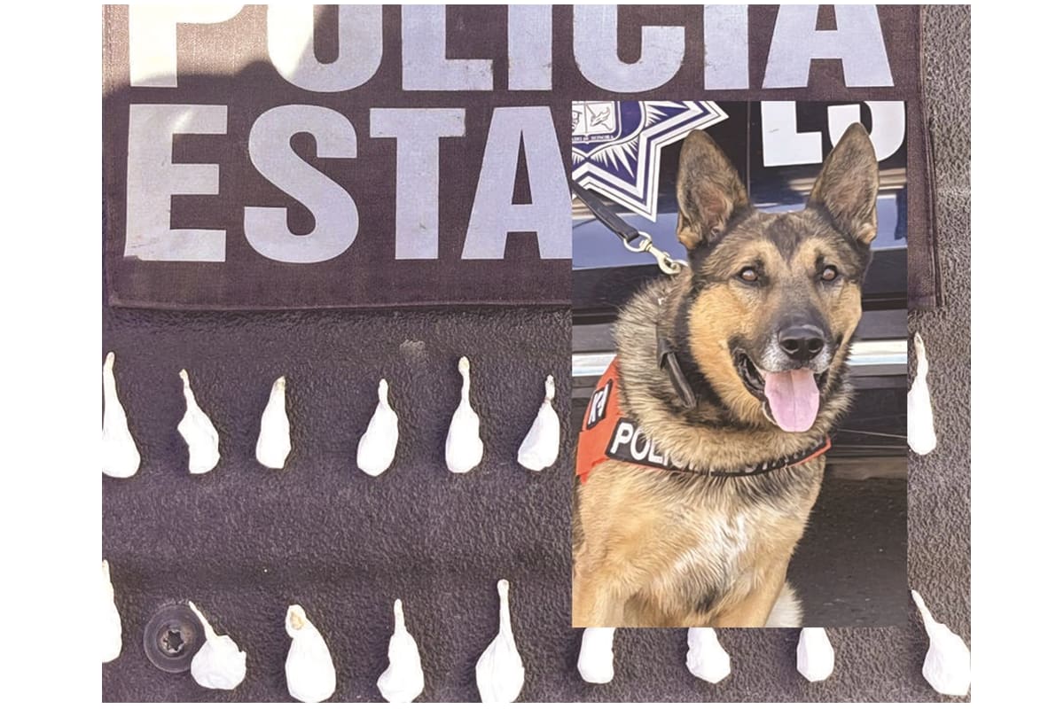 Detienen a cinco personas por posesión de narcóticos en distintos sectores de Hermosillo