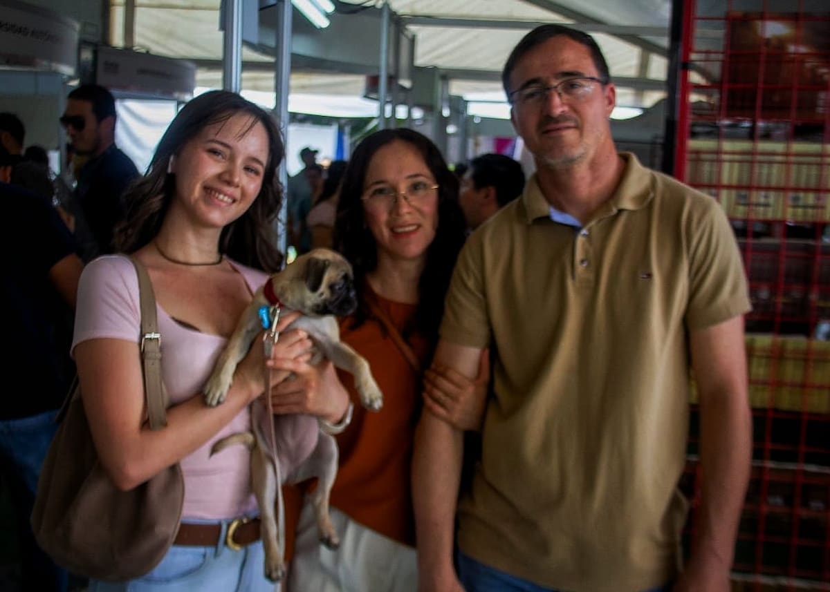 Foto: Vicente González