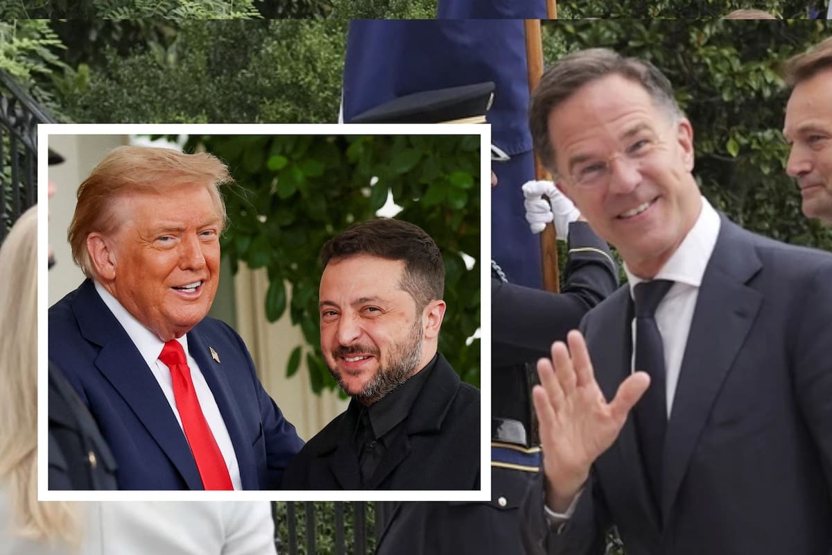 Zelenski se viste formal para su reunión a petición de Trump; llegan los aliados europeos de Ucrania a la Casa Blanca