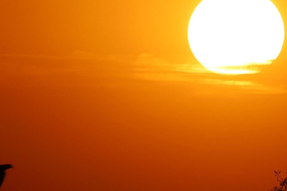 Confirman sexta muerte por golpe de calor en Mexicali
