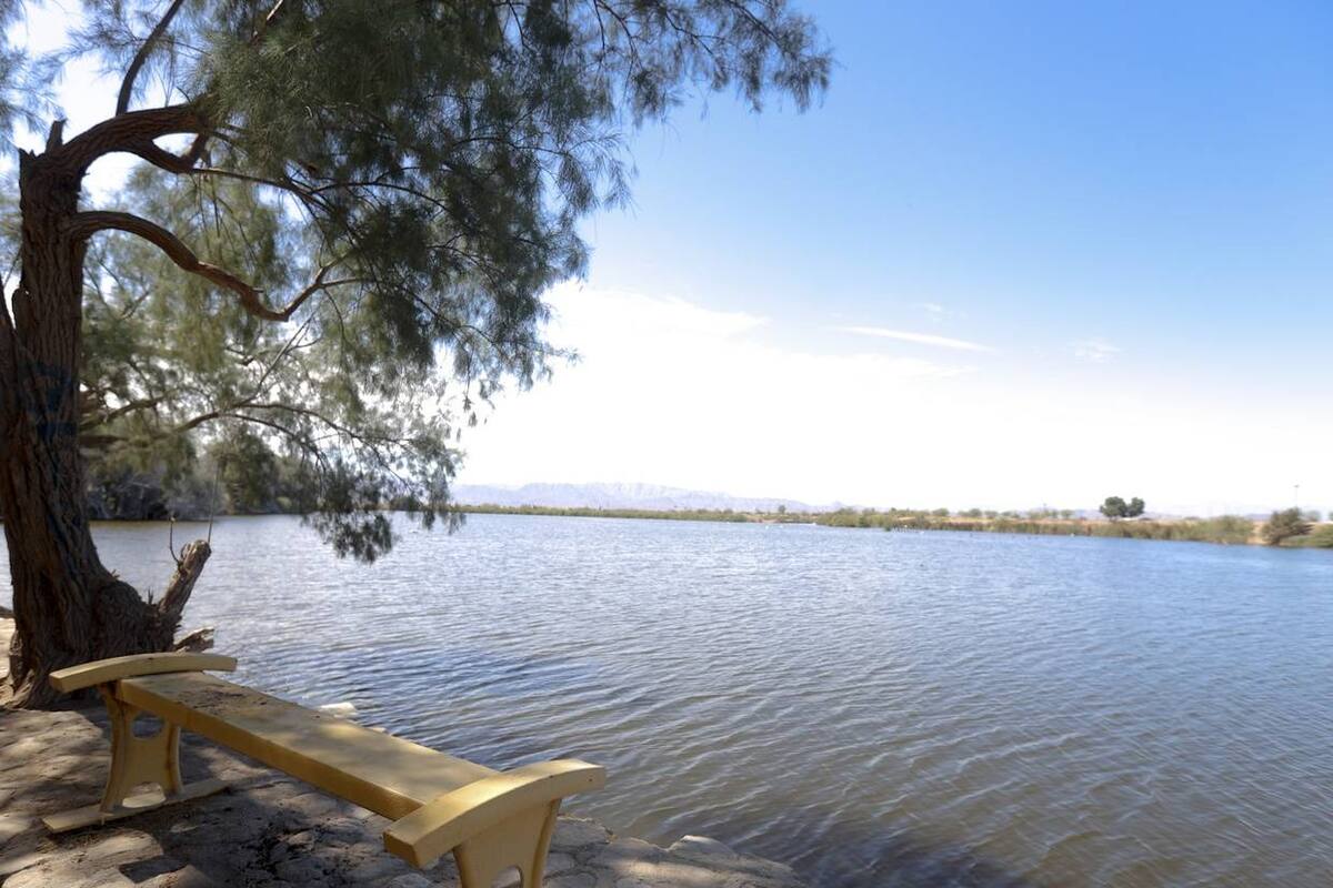 Aprueban convenio de obtención de recursos para mantenimiento del Parque Laguna México
