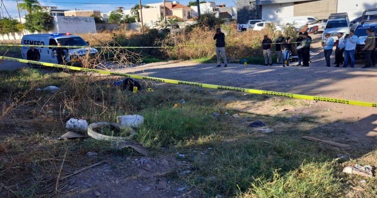 Hallan a tres víctimas de homicidio en distintos puntos de Sinaloa ...