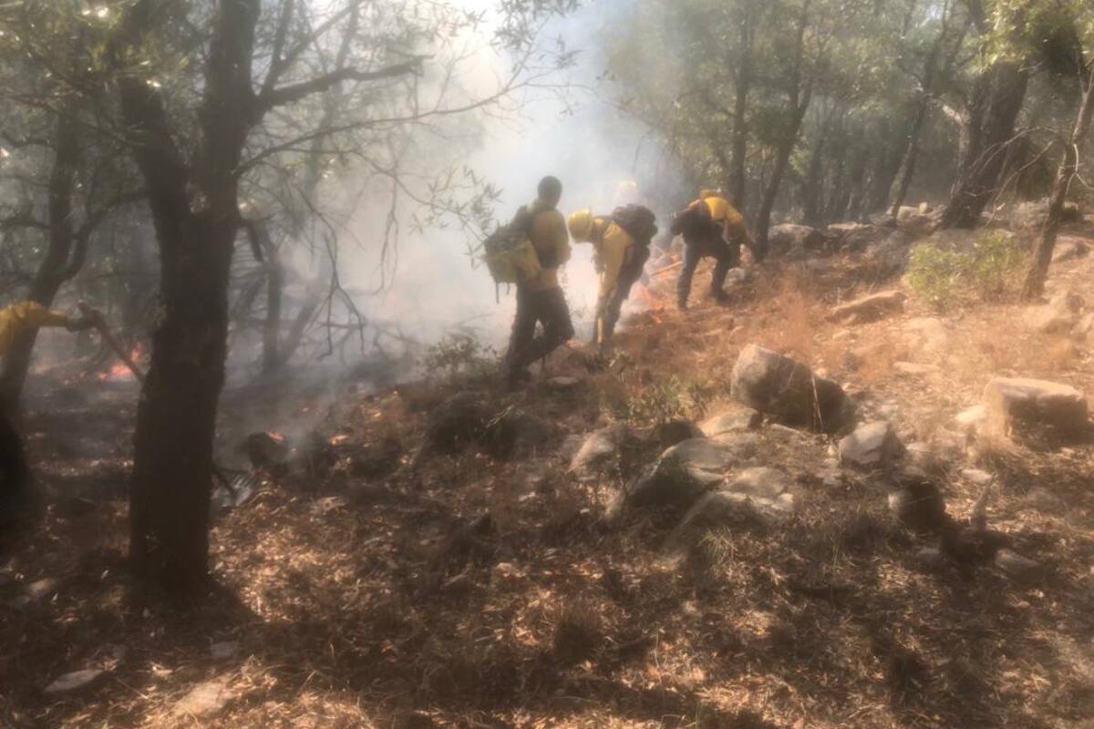 Incendio forestal en Álamos es el peor en los últimos 20 años: Conafor