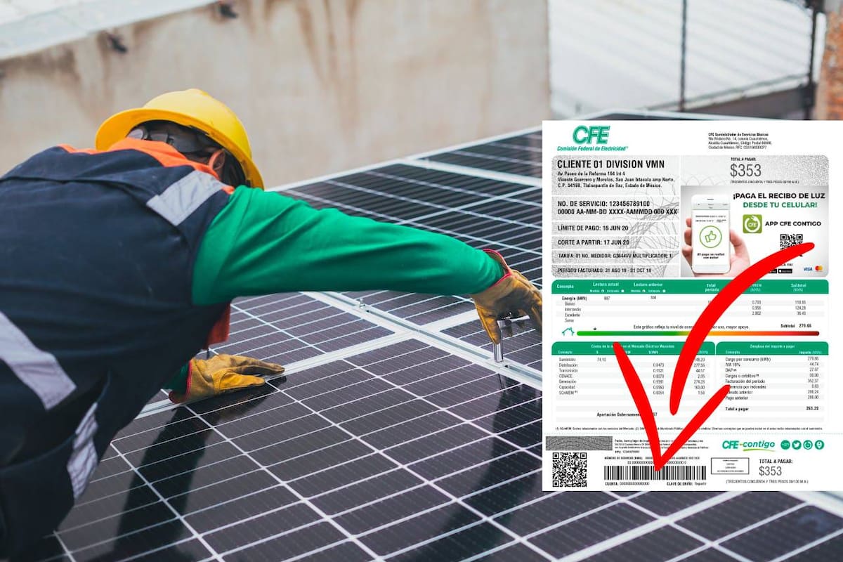 Si pagas más de 2,000 pesos a CFE, los paneles solares podrían convenirte; estos son los costos y años necesarios para recuperar la inversión