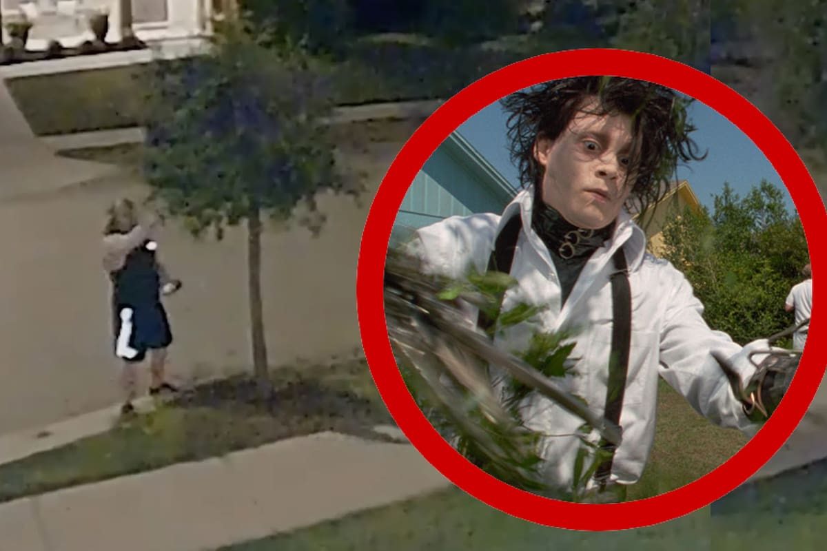 "Edward Manos de Tijeras": Hombre misterioso de Texas poda los árboles de los vecinos durante la noche