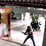 Formulan imputación contra agresor de perro “Toto” en Sonora