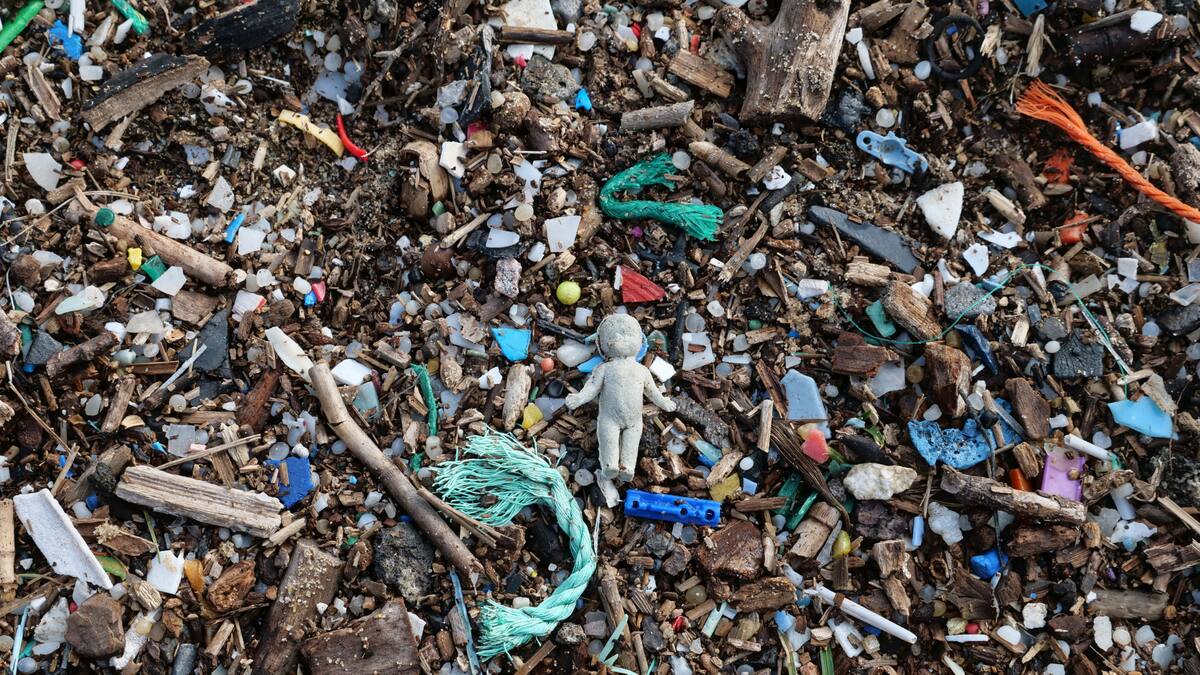 Un nuevo estudio publicado en Nature reveló que la contaminación por microplásticos no se limita a la superficie del océano, sino que se extiende a grandes profundidades/Foto: Canva