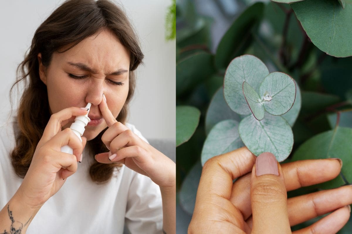 Cómo reducir la congestión nasal con vapor de eucalipto