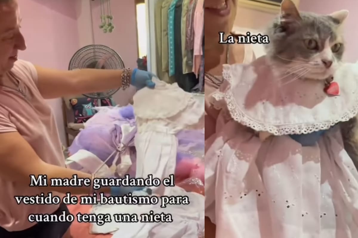 “Le queda hermoso a la nieta”: joven muestra cómo su madre guardó el vestido de su bautismo para sus futuros nietos, pero terminó poniéndoselo a la mascota de su hija ante la falta de nietos