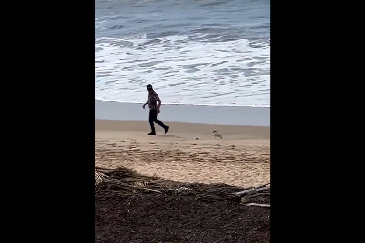 TIKTOK: Joven lleva a su mascota a la playa por primera vez y se hacen viral