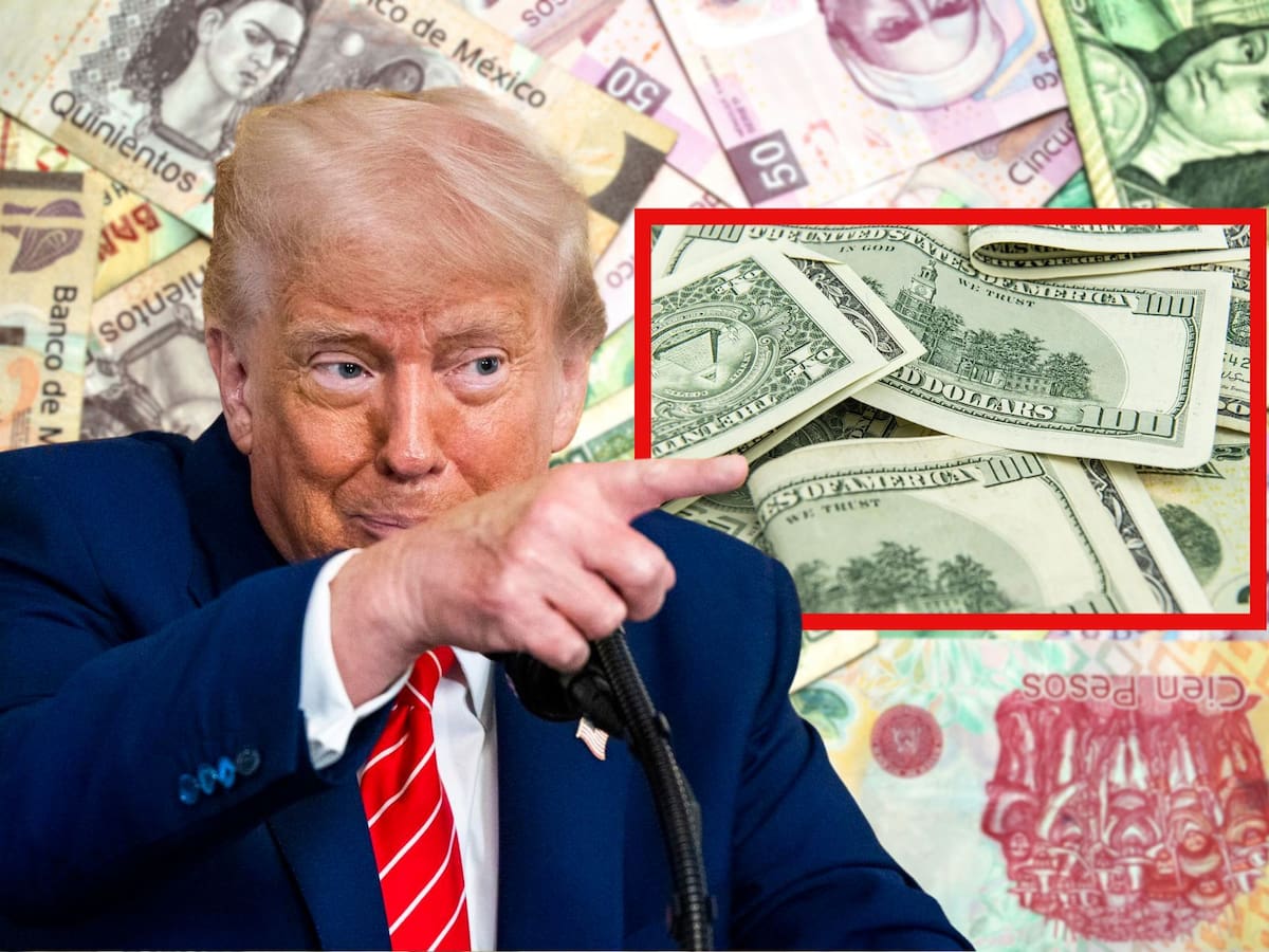 El dólar registra una caída frente al peso mexicano. ¿En cuánto se cotiza hoy? | Crédito: EFE/Pixabay/Canva