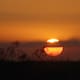 Mantienen alerta por calor extremo en Yuma