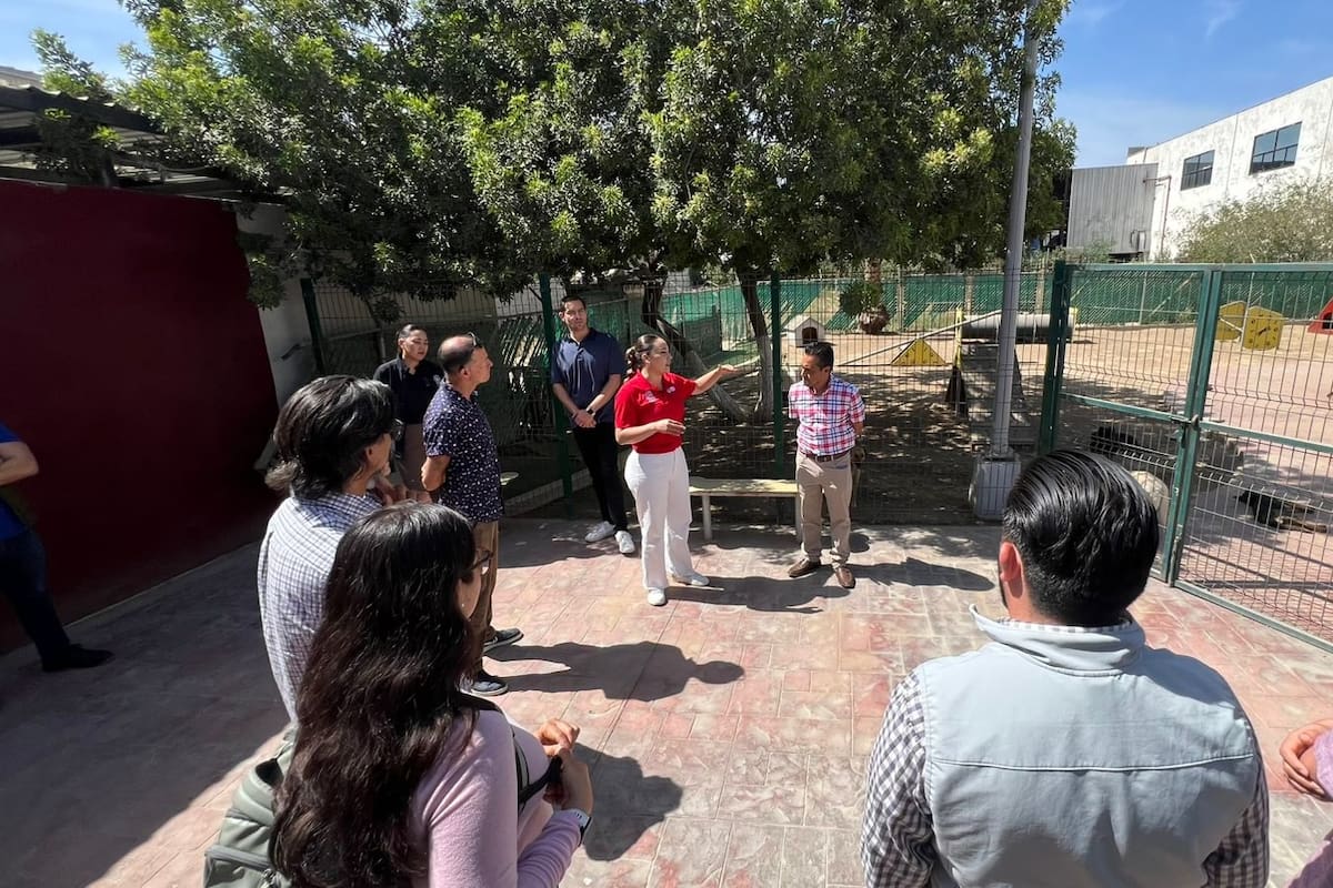 Supervisan operación del Cacyfe tras renovación de instalaciones