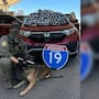 Decomisan 37 kilos de metanfetamina en punto de revisión migratorio de Arizona