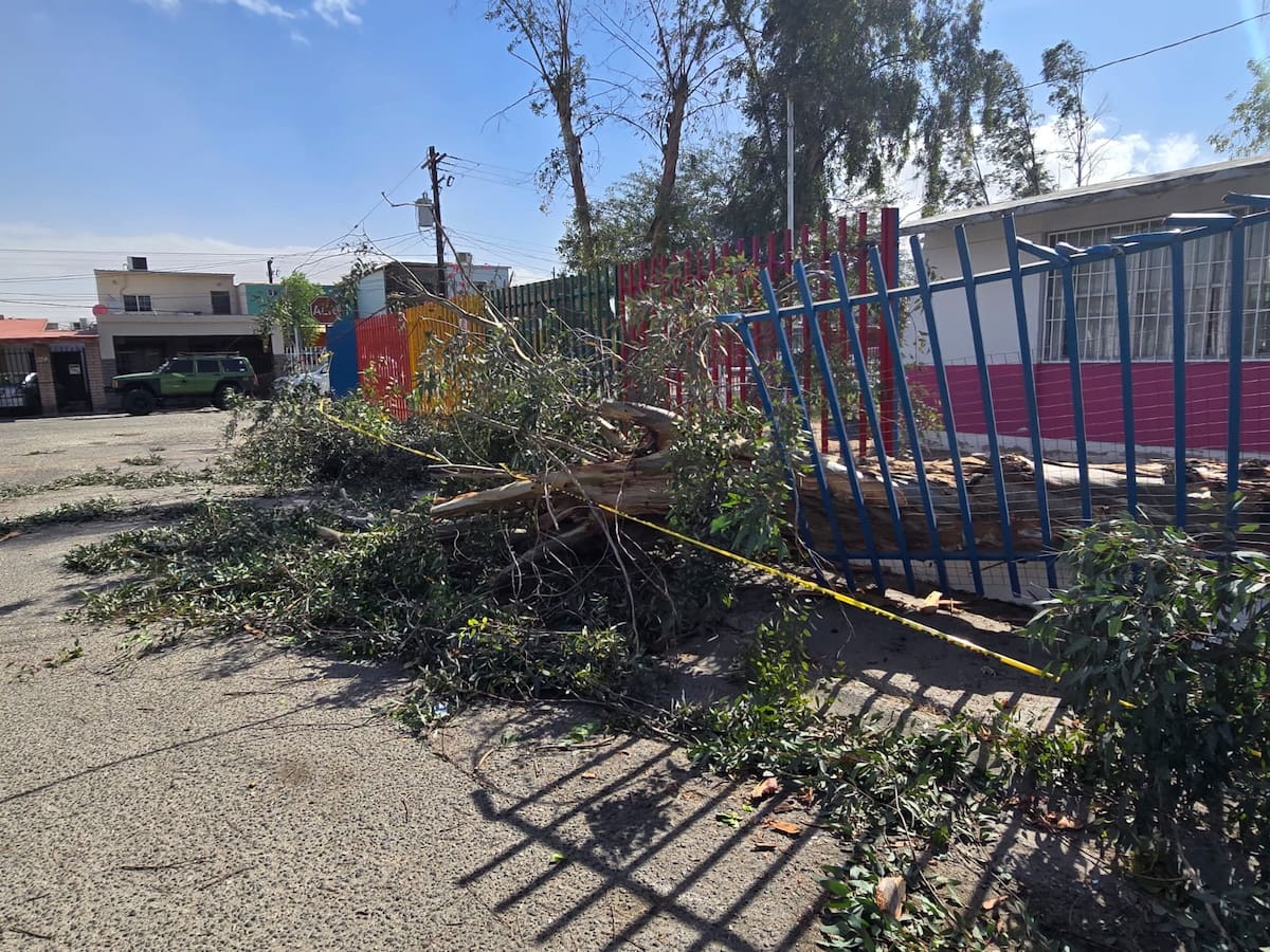 Foto: Javier Gallegos