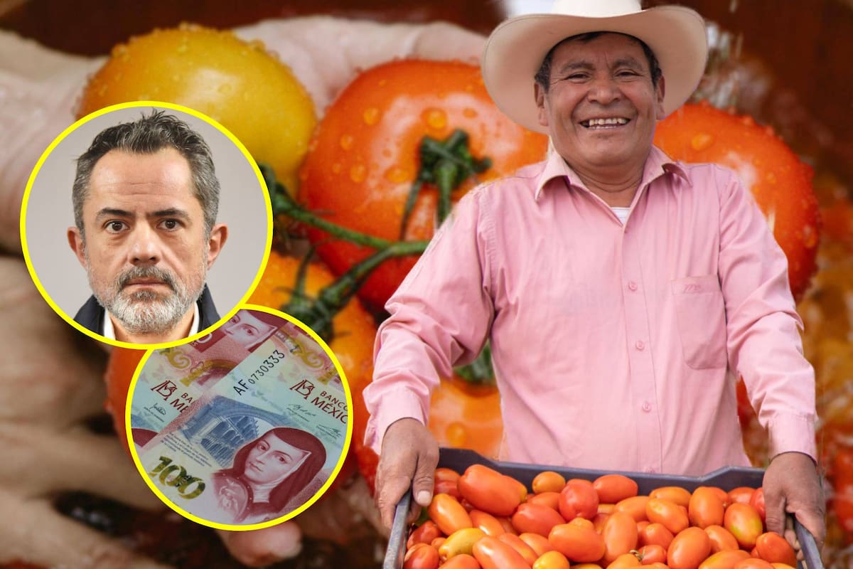 Gobierno federal busca estabilizar el precio del jitomate y garantizar el abasto para consumidores con nuevo acuerdo