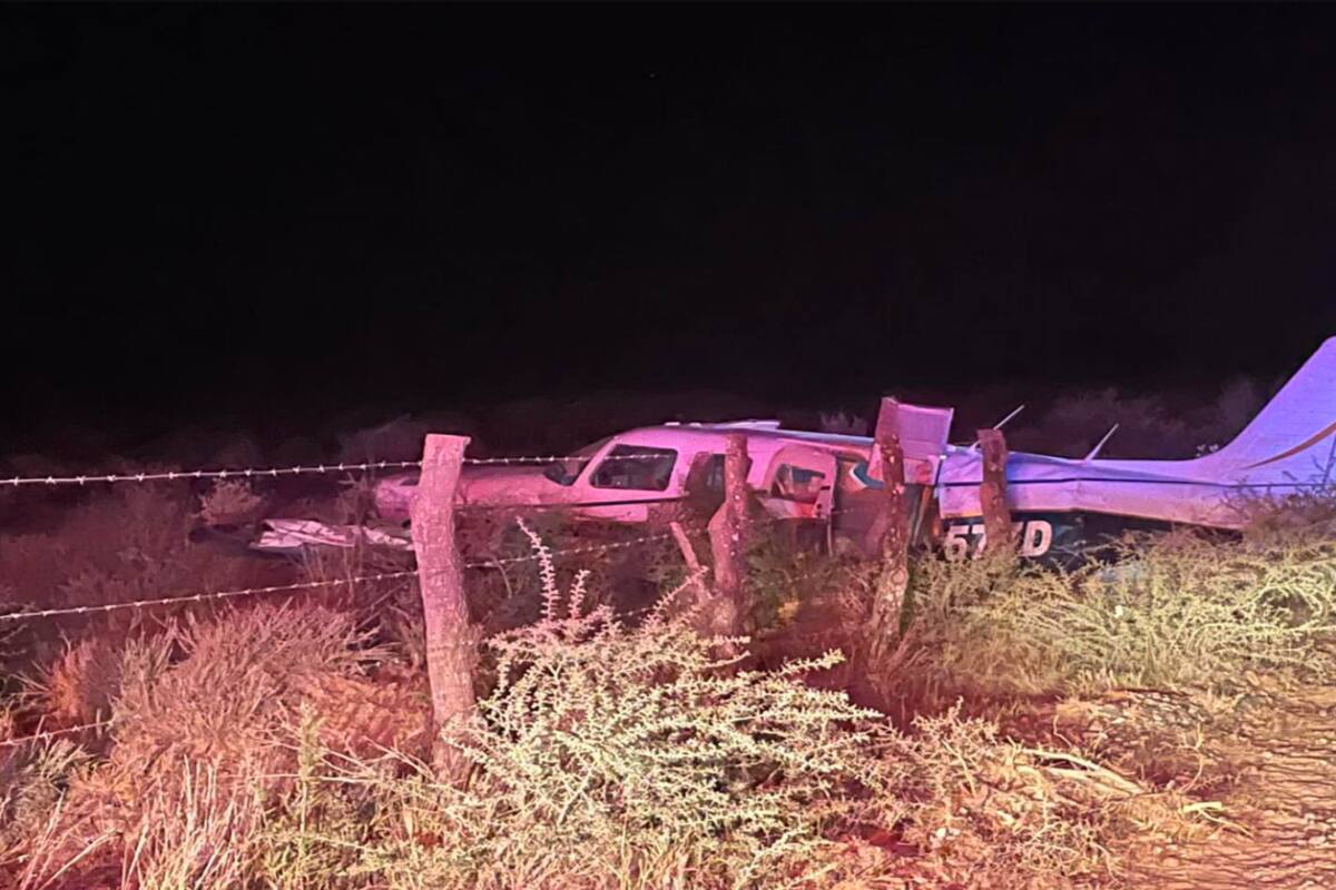 Desplome de avioneta en Tamaulipas deja un herido