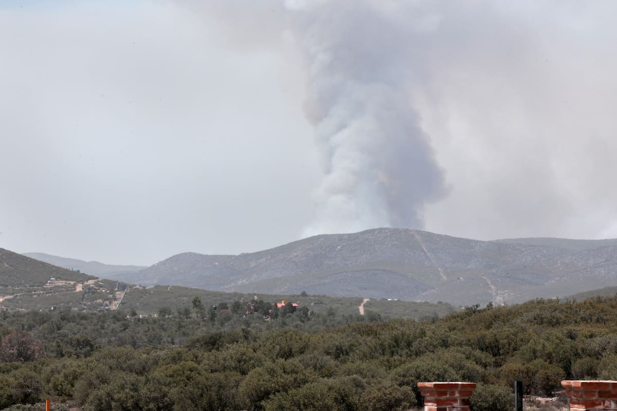 Más de 10 mil hectáreas afectadas por incendios en Tecate