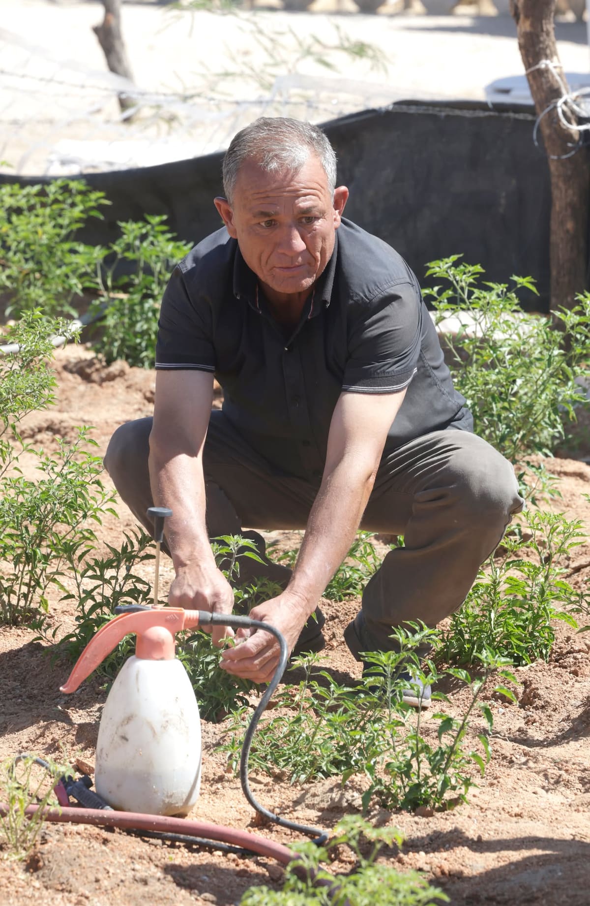 Foto: Teodoro Borbón.