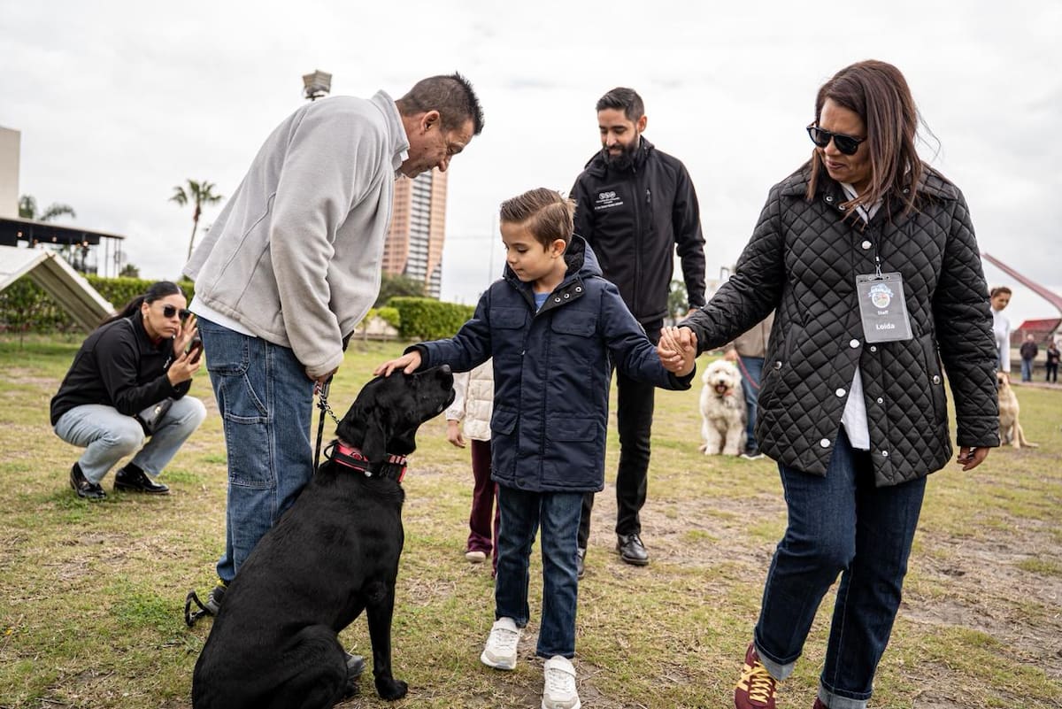 Tras un año de capacitación profesional, los caninos concluyeron el curso internacional “Perro Buen Ciudadano”, que los acredita como aptos para actividades educativas y de acompañamiento. Foto: Border Zoom