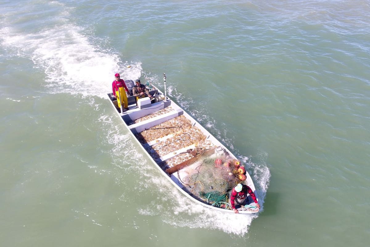 62 pescadores del Golfo de Santa Clara recibirán motores nuevos para sus embarcaciones