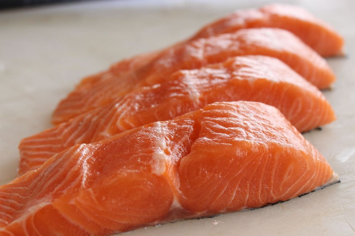 ¿Cuál es el pescado más venenoso del mundo? Esto dice un estudio