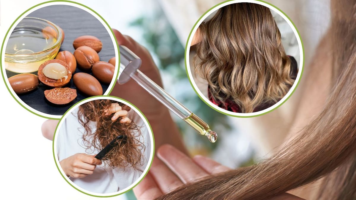 El aceite de argán puede mejorar la apariencia del cabello seco y castigado, pero especialistas recomiendan aplicar pocas gotas de medios a puntas para evitar que se apelmace