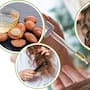 El aceite de argán puede mejorar la apariencia del cabello seco y castigado, pero especialistas recomiendan aplicar pocas gotas de medios a puntas para evitar que se apelmace