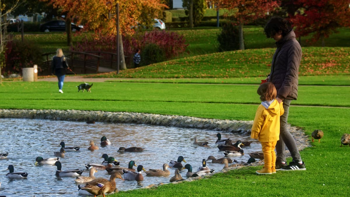 Vivir cerca de áreas verdes reduce el riesgo de autismo y TDAH en niños, según estudio | Foto: Especial