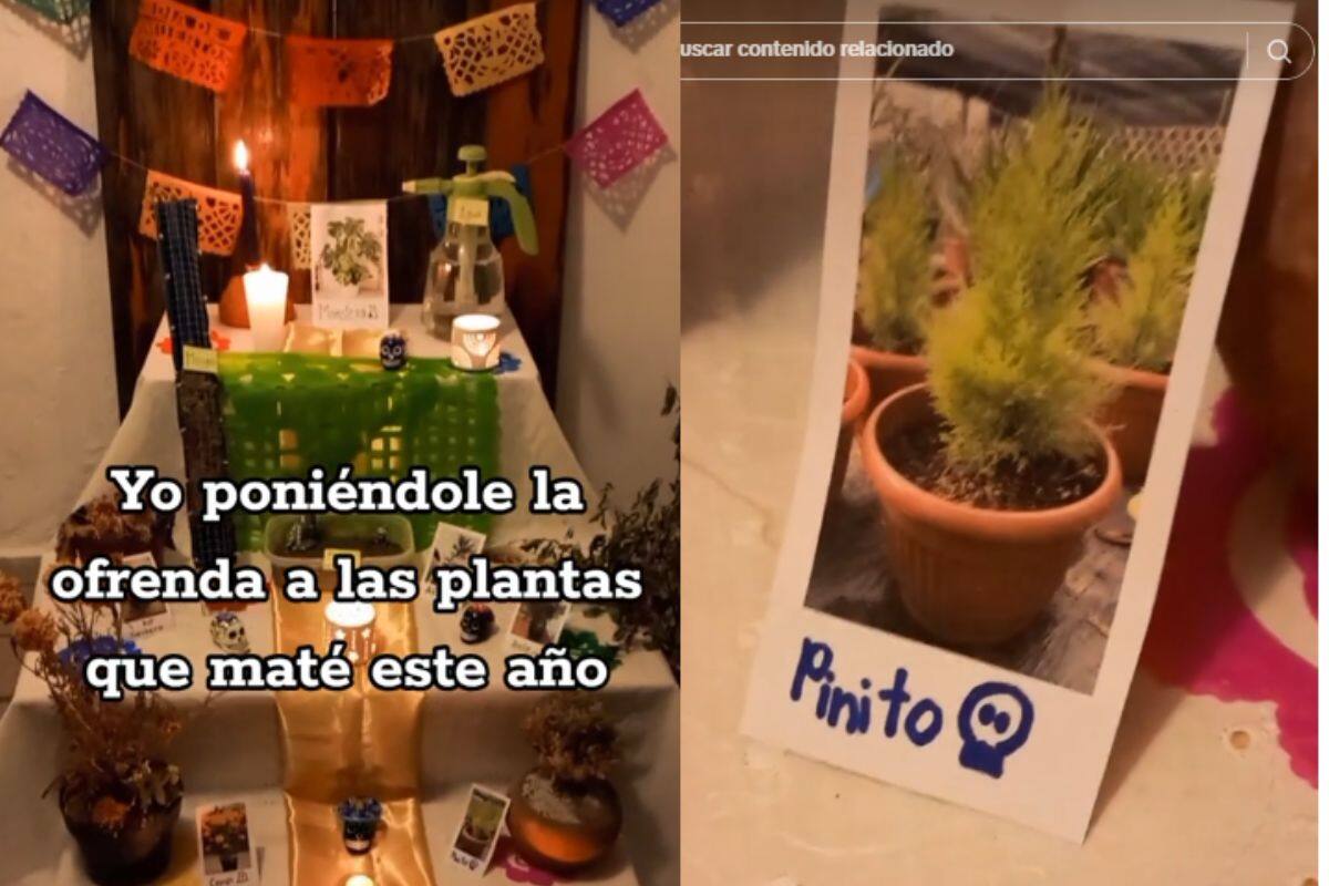 Hombre pone ofrenda del Día de Muertos por las plantas que no pudo cuidar durante el año