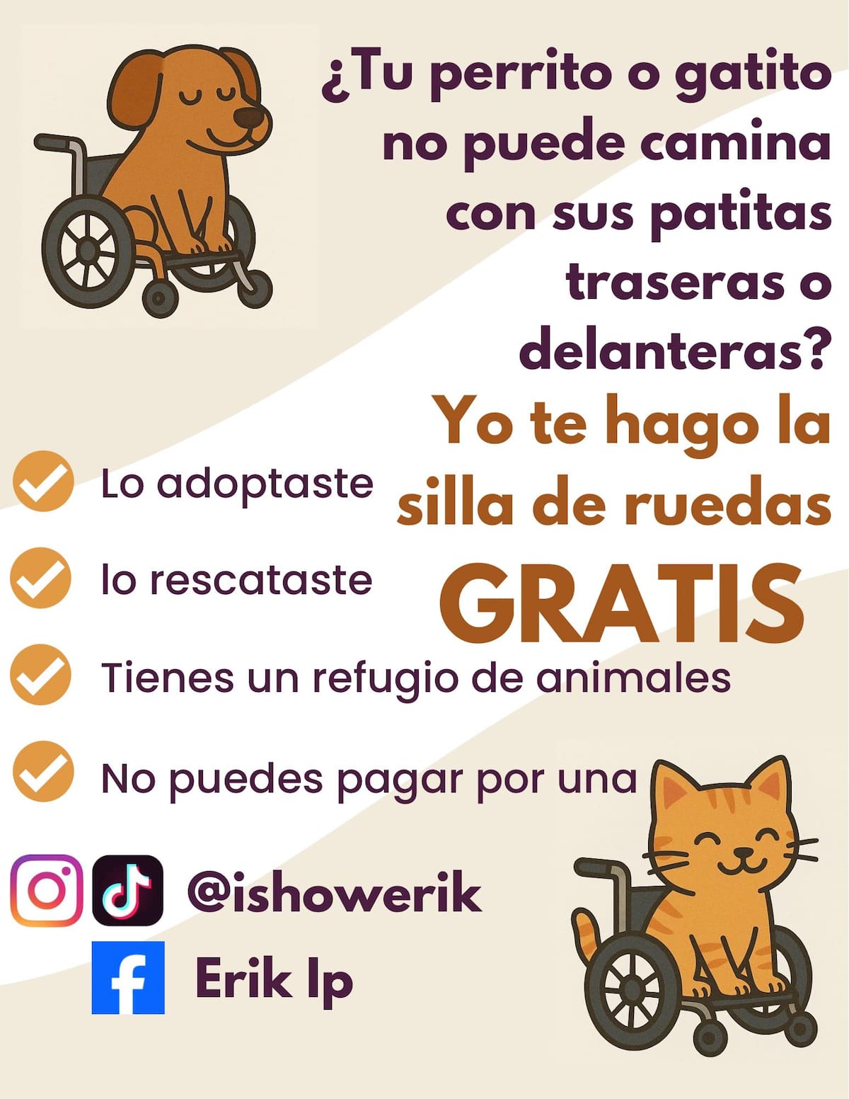 La ayuda está dirigida a quienes tienen gatitos adoptados y/o rescatados que necesitan una silla de ruedas y no pueden pagar una. Foto: Facebook