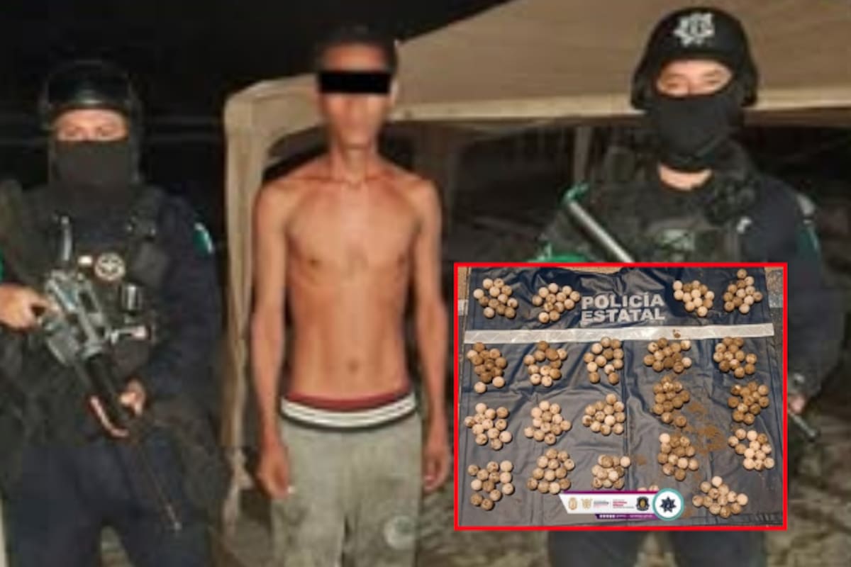 Sustraía huevos de tortuga en plena playa: lo detienen con 247 piezas en Acapulco