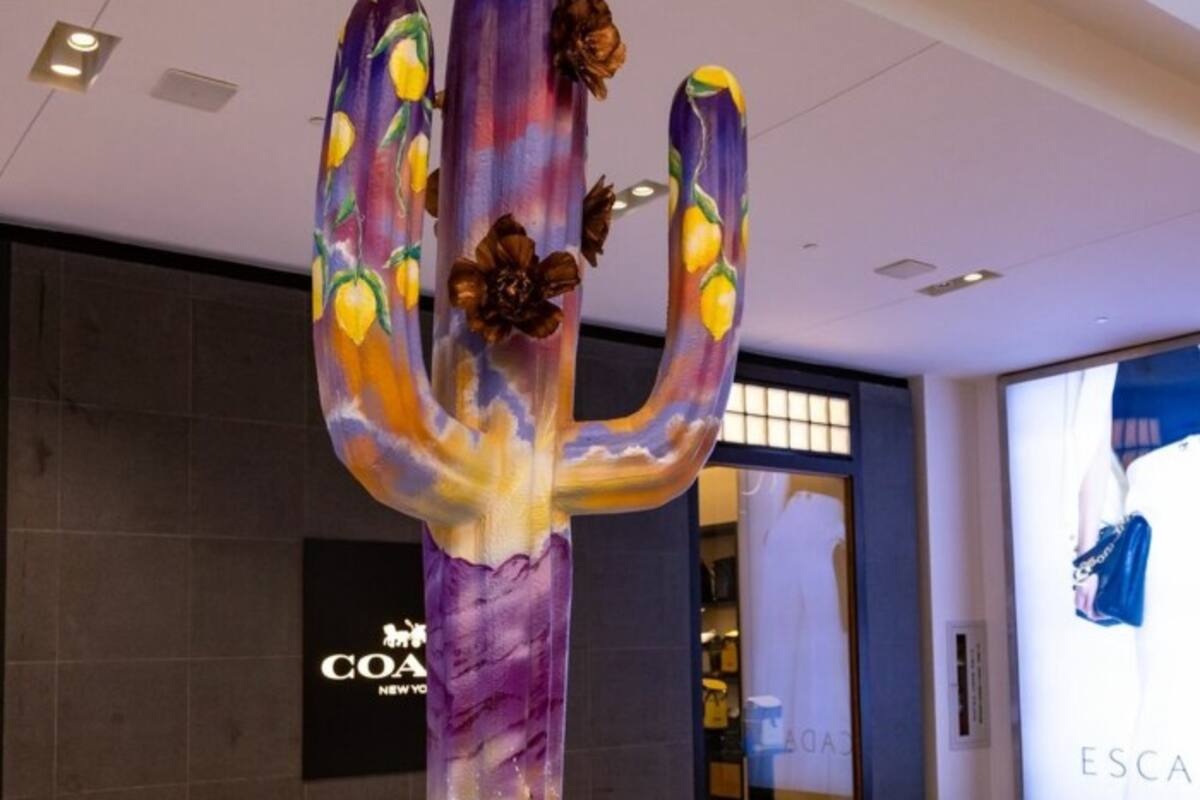 Arte con causa: nueva colección de cactus en Scottsdale